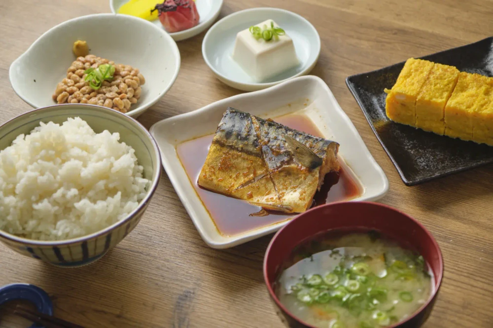 栄養指導 バランスの良い食事